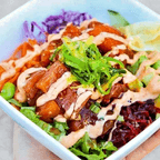 Best Mighty Green Tuna & Salmon in Philadelphia, PA